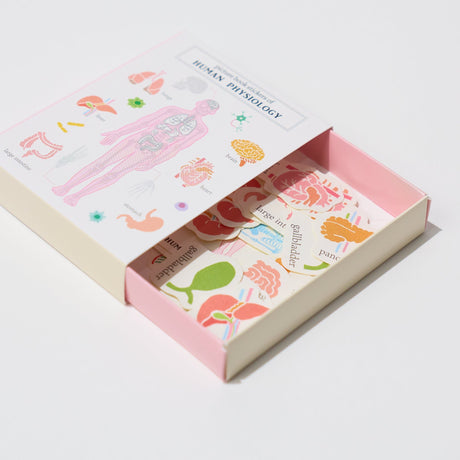 STUDY HOLIC Flake Stickers with Encyclopedia Case / GreenFlash - bungu