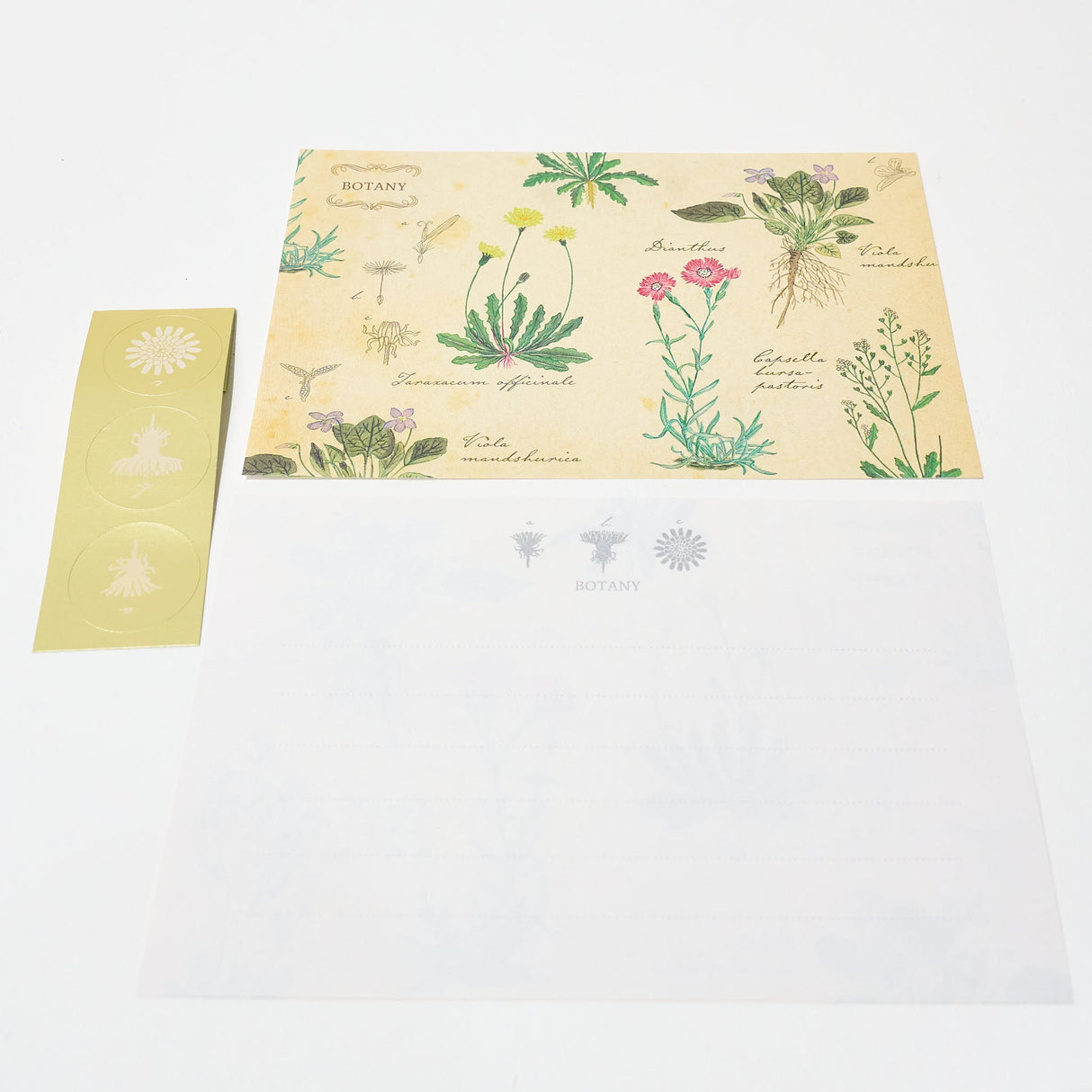 STUDY HOLIC Letter Set / GreenFlash - bungu