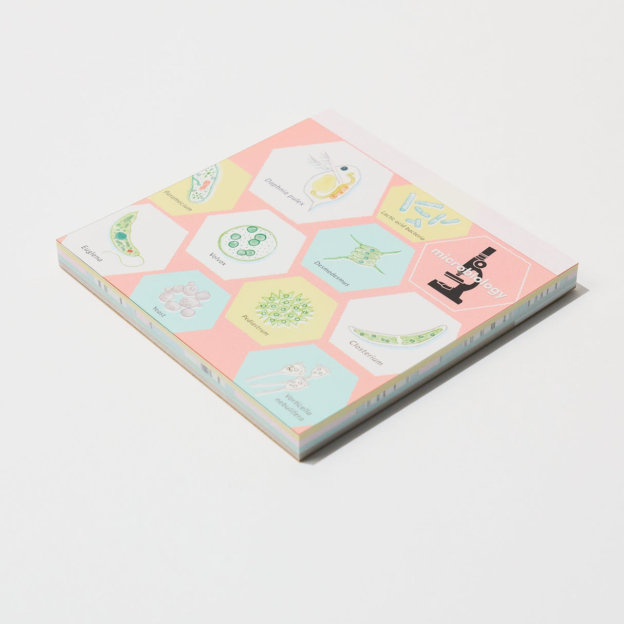 STUDY HOLIC Memo Pad Square / GreenFlash - bungu