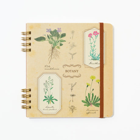 STUDY HOLIC Ring Notebook Square / GreenFlash - bungu