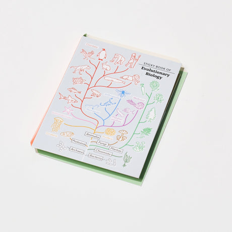 STUDY HOLIC Sticky Note Book / GreenFlash - bungu