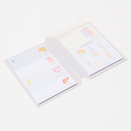 STUDY HOLIC Sticky Note Book / GreenFlash - bungu