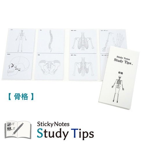 Study Tips Sticky Notes 8 Designs 20 Sheets / shikisaisai - bungu