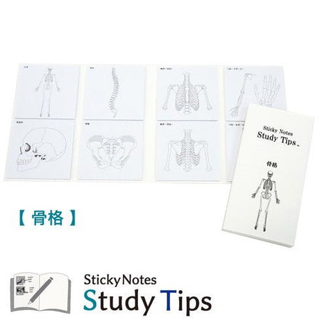 Study Tips Sticky Notes 8 Designs 20 Sheets / shikisaisai - bungu