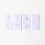 Study Tips Sticky Notes 8 Designs 20 Sheets / shikisaisai - bungu