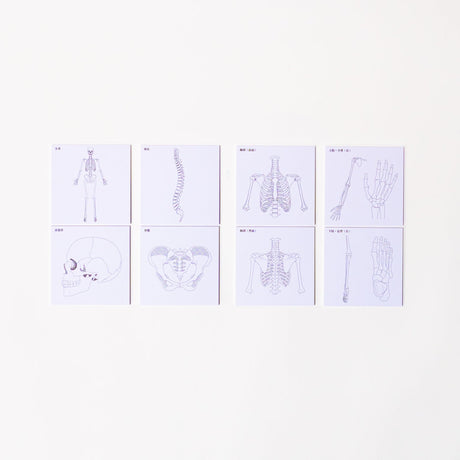 Study Tips Sticky Notes 8 Designs 20 Sheets / shikisaisai - bungu