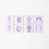 Study Tips Sticky Notes 8 Designs 20 Sheets / shikisaisai - bungu