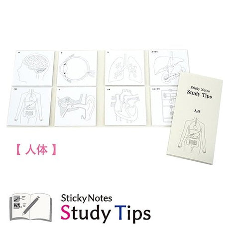 Study Tips Sticky Notes 8 Designs 20 Sheets / shikisaisai - bungu