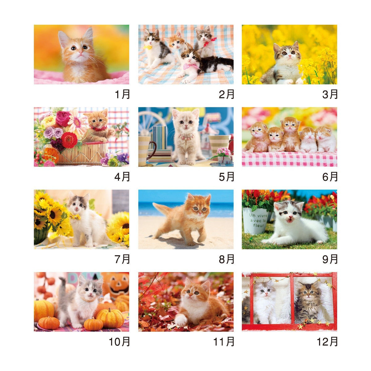 Thank You Dog and Cat Desk Calendars 2027 / Shin Nihon Calendar - bungu