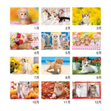 Thank You Dog and Cat Desk Calendars 2027 / Shin Nihon Calendar - bungu