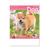 Thank You Dog and Cat Desk Calendars 2027 / Shin Nihon Calendar - bungu