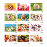 Thank You Dog and Cat Desk Calendars 2027 / Shin Nihon Calendar - bungu