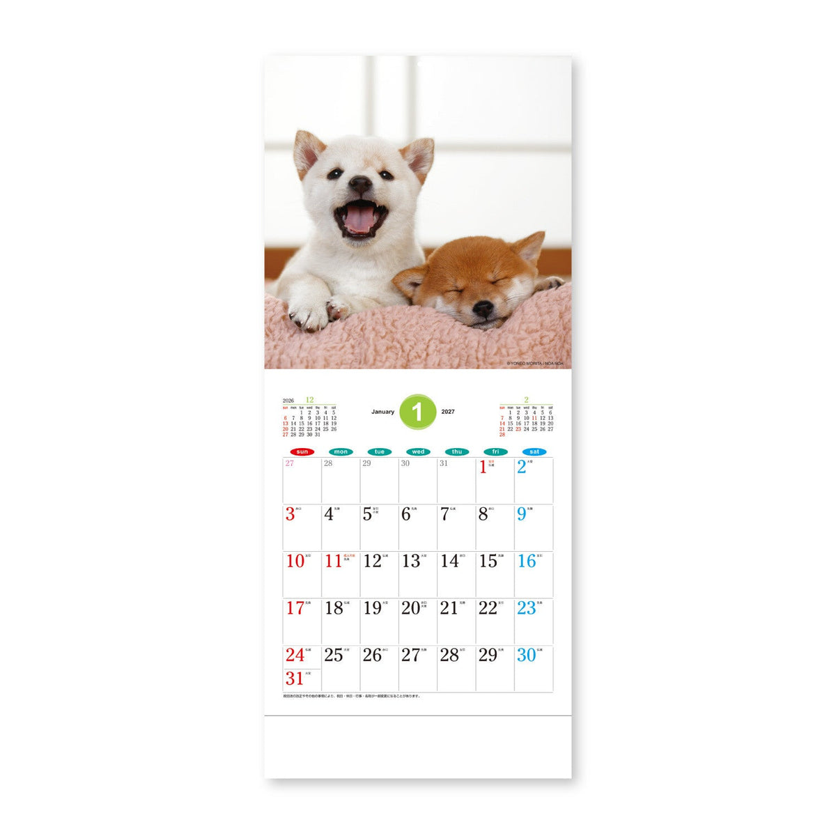 The Dog’s and Cat’s Wall Calendar 2027 / Shin Nihon Calendar - bungu