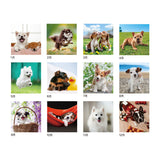 The Dog’s and Cat’s Wall Calendar 2027 / Shin Nihon Calendar - bungu