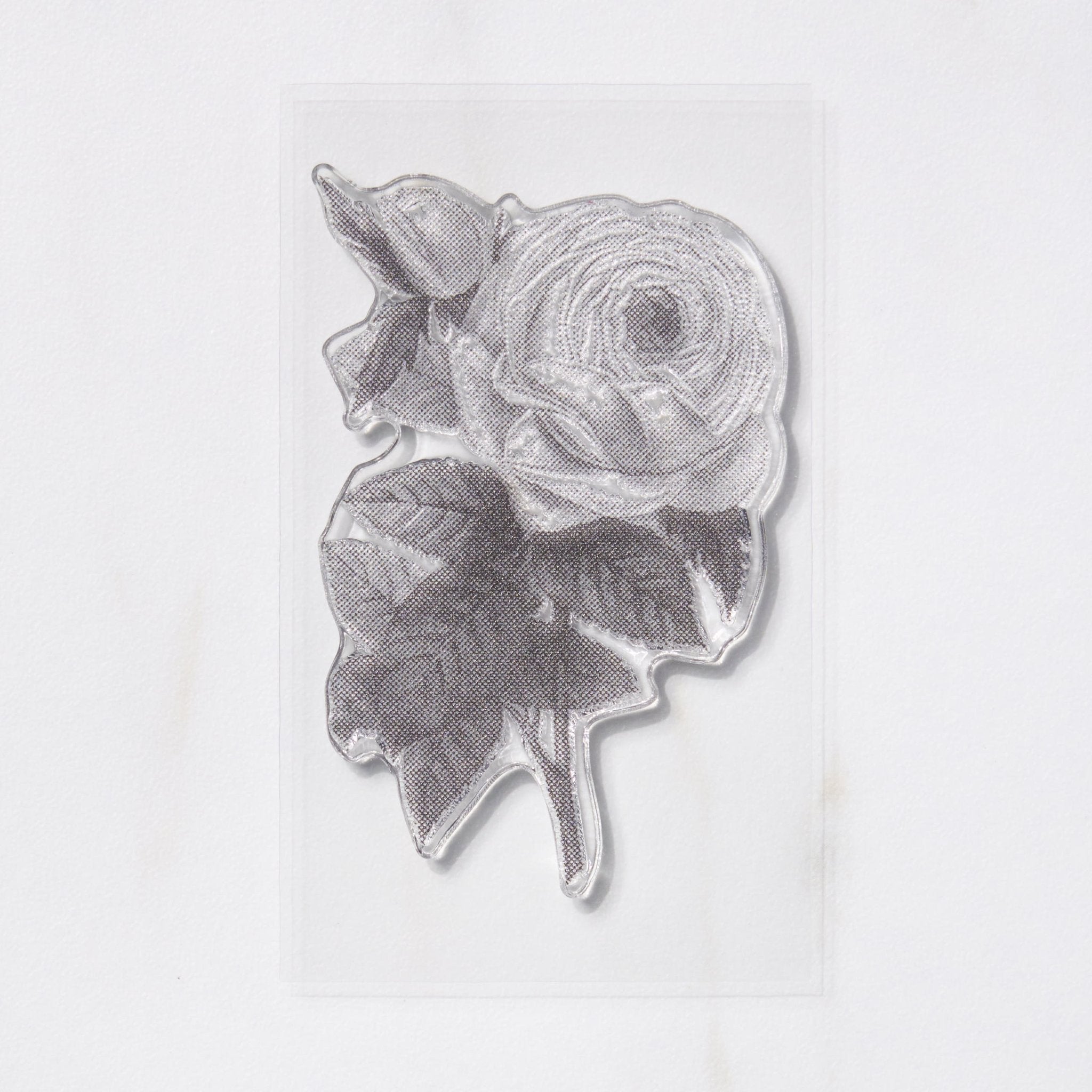 TO-MEI HAN Biology Stamps / tri-gram – bungu