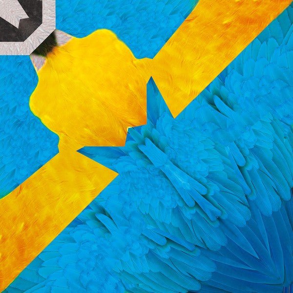 Tropical Bird Origami Sets / Marumo Printing Stationery - bungu