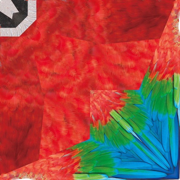 Tropical Bird Origami Sets / Marumo Printing Stationery - bungu