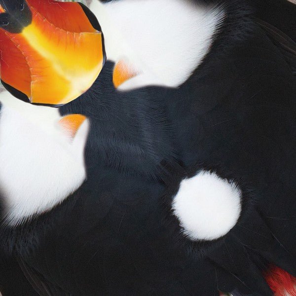 Tropical Bird Origami Sets / Marumo Printing Stationery - bungu