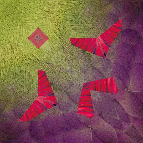 Tropical Bird Origami Sets / Marumo Printing Stationery - bungu