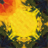 Tropical Bird Origami Sets / Marumo Printing Stationery - bungu