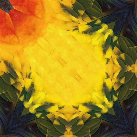 Tropical Bird Origami Sets / Marumo Printing Stationery - bungu