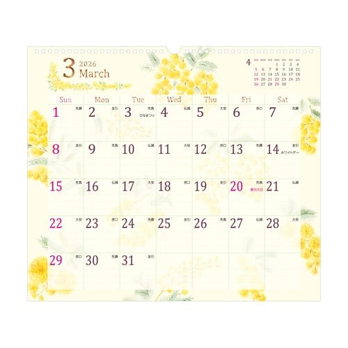 Wall Calendars 2026 / MIDORI - bungu