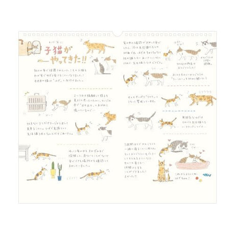 Wall Calendars 2026 / MIDORI - bungu