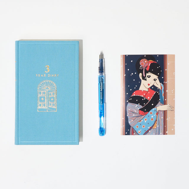 Winter Wonderland 3 Year Diary Gift Set - bungu