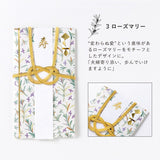 Wishing Plants Gift Envelope / IROHA PUBLISHING - bungu