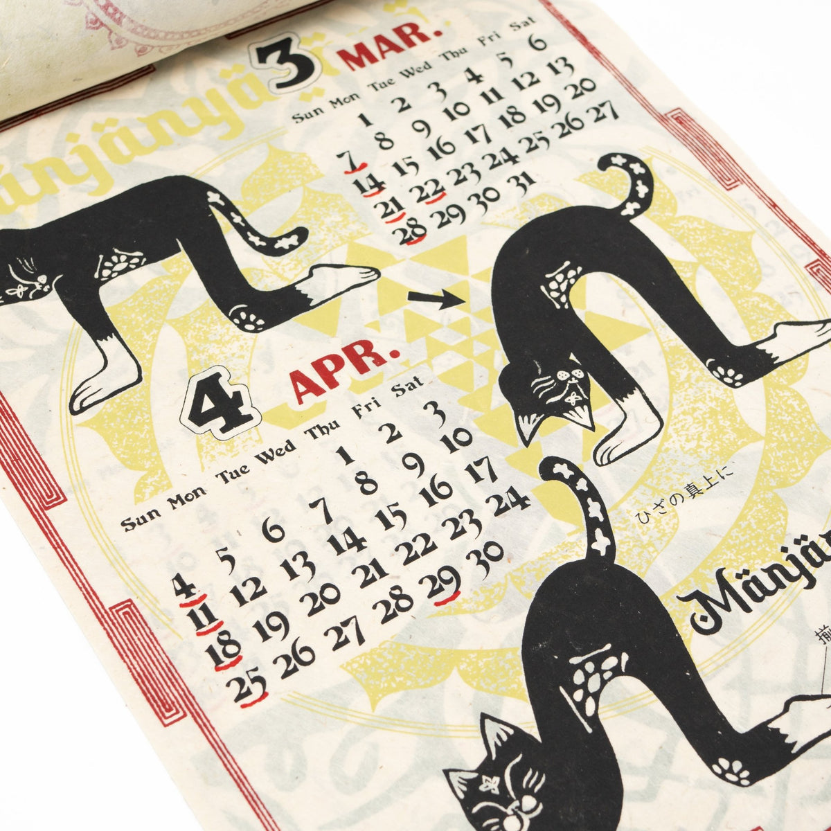 Yoga Cat Wall Calendar 2027 / Amina Collection Co., Ltd. - bungu