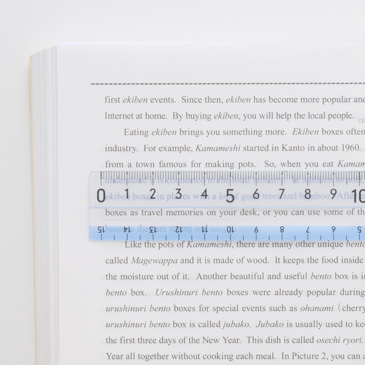 Yoku - Mieru Ruler 15 cm / Raymay Fujii - bungu