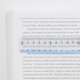 Yoku - Mieru Ruler 15 cm / Raymay Fujii - bungu