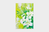 Art Touch Yachiyo Sekino Floral Postcards / TOUCH & FLOW